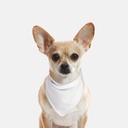 Small Breed Pet Bandana